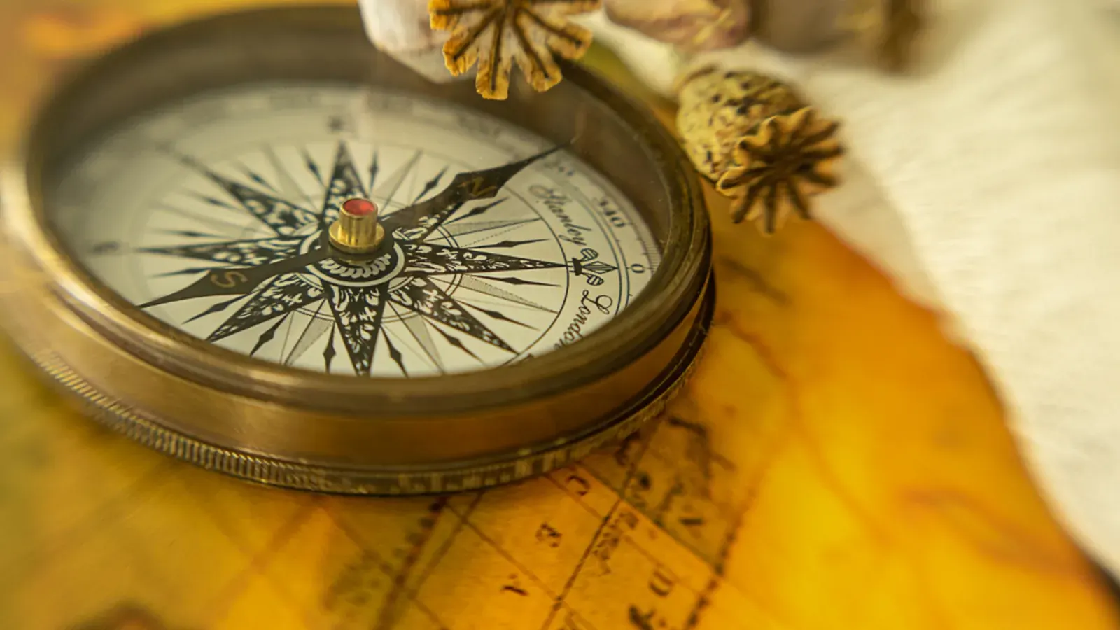 Illustration — Compass Map